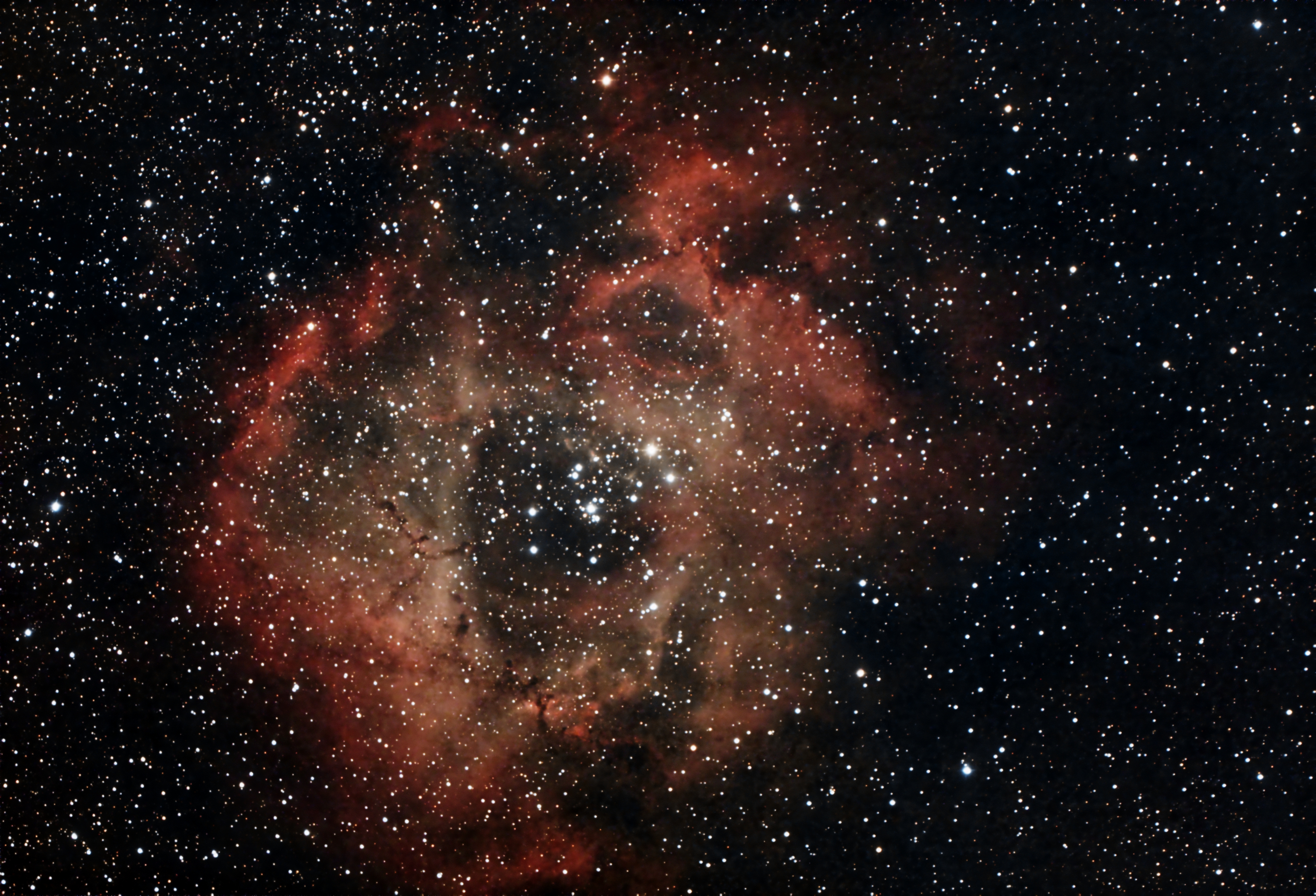Nebula